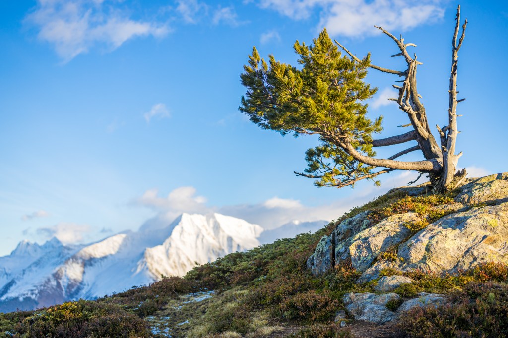Ankündigung: Foto-Reise Aletsch (CH), 7.10.-10.10.2022