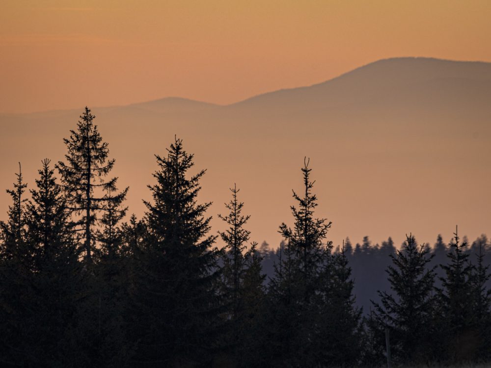 Foto-Angebote im Herbst&nbsp;2023