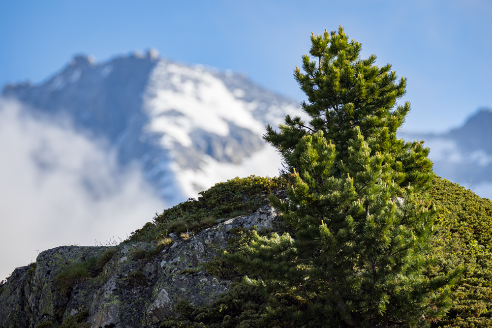 Ankündigung: Bildvortrag „Aletsch“, Kirchzarten,&nbsp;15.11.2022